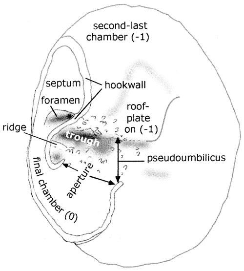 https://jm.copernicus.org/articles/44/169/2025/jm-44-169-2025-f05