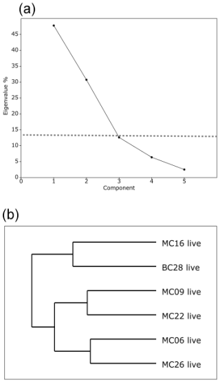 https://jm.copernicus.org/articles/44/79/2025/jm-44-79-2025-f04