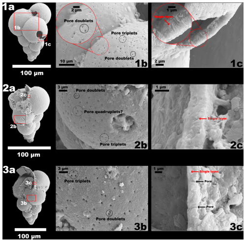 https://jm.copernicus.org/articles/45/415/2026/jm-45-415-2026-p02