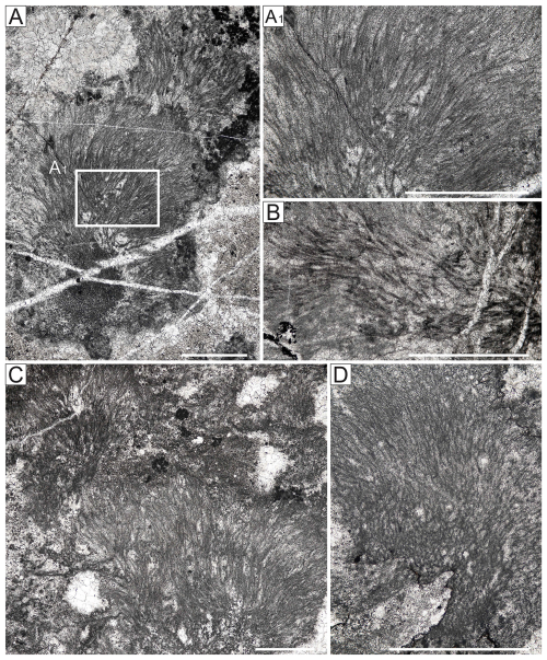 https://jm.copernicus.org/articles/45/513/2026/jm-45-513-2026-f12